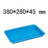 覆盤子苗批發市場及價格指南