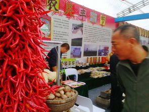 銅川2018扶貧產(chǎn)品交易會 初級農(nóng)產(chǎn)品精品薈萃，看點亮眼搶先揭秘