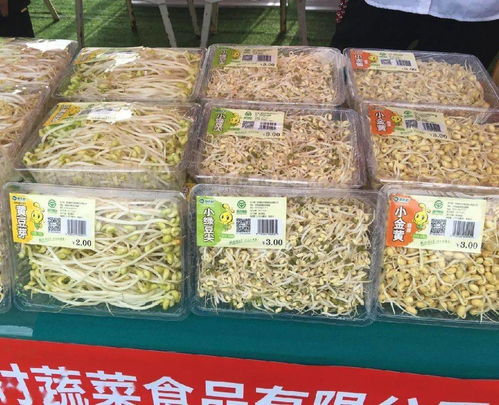 養(yǎng)老金上調惠及40余萬退休人員，路段施工提醒與科技成果對接活動預告