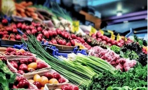 瓊州海峽對岸傳來利好 初級農(nóng)產(chǎn)品發(fā)展迎來新機遇