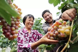 青島地道風物 家門口就能買到的初級農產品優選指南